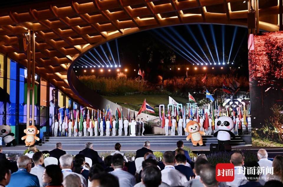 BFrhp, 体现国际表