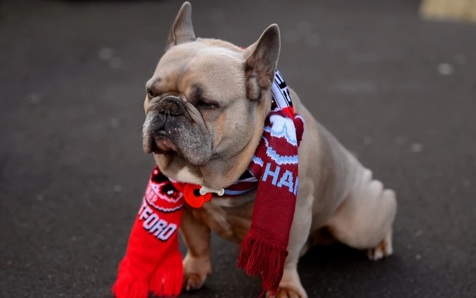 多年来, 的比赛