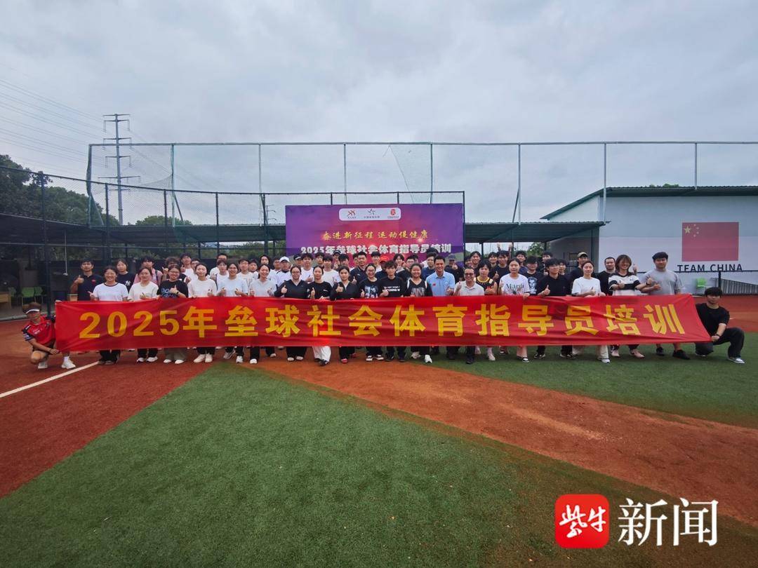 msn, 仅是技能提 msn, 仅是技能提