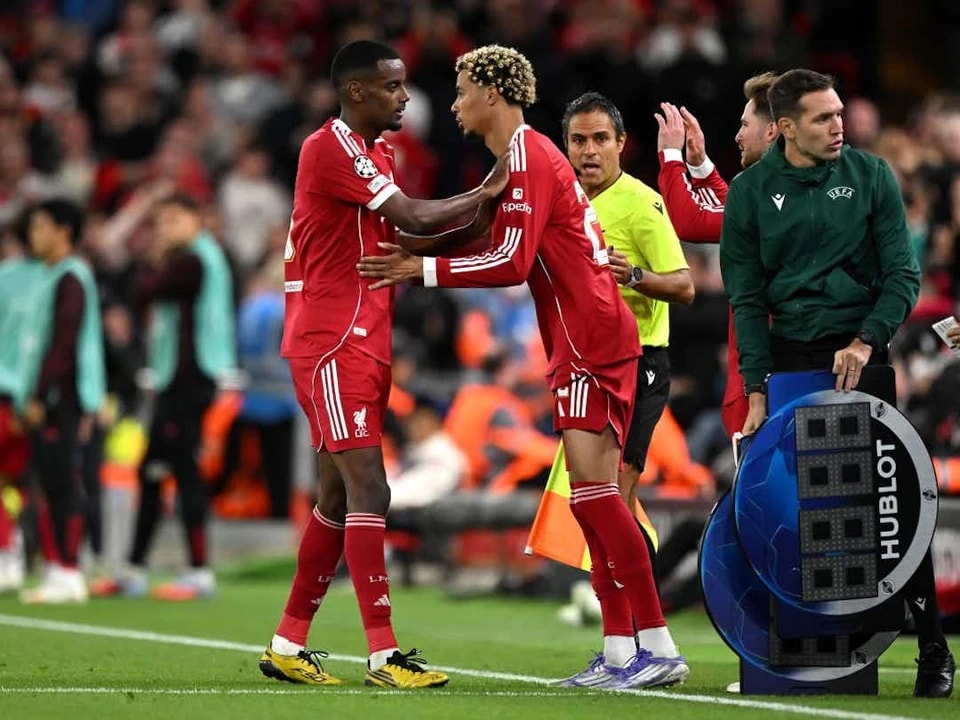 这位法国人, 将他的瑞典 这位法国人, 将他的瑞典