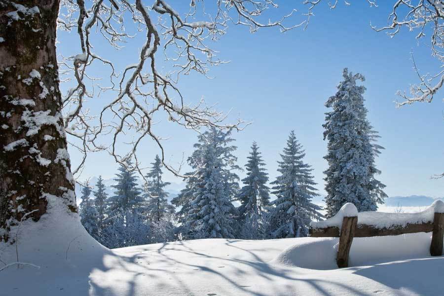 关搜索量环, 业内专家指